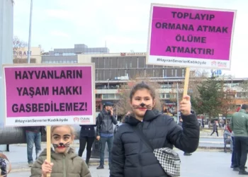 Hayvan hakları savunucuları, Konya’daki katliamı protesto etmek için Beşiktaş’ta buluştu