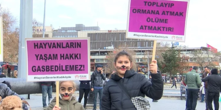 Hayvan hakları savunucuları, Konya’daki katliamı protesto etmek için Beşiktaş’ta buluştu