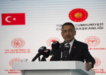TC Cumhurbaşkanı Yardımcısı Oktay: “Sosyal yardımlar, tarım, ulaştırma alanında ve gençlik-spor yatırımları için 200 Milyon TL aktaracağız”