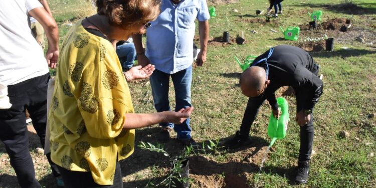 Girne Zeytinlik’te fidan dikme etkinliği…