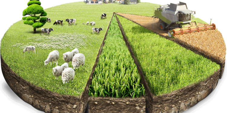 Kırsal kalkınma ihtiyaç analizi bölge toplantıları başlıyor