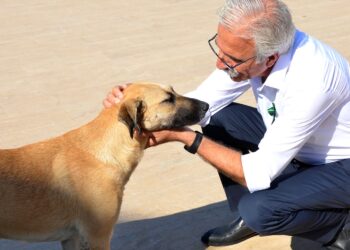 Güzelyurt Belediyesi Başkan adayı Osman Bican: “Güzelyurt’a ‘Hayvan Barınağı’ yapmak önceliğimiz olacak”