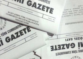 “Yerel İşgücü İstihdamının Desteklenmesi Tüzüğü” Resmi Gazete’de