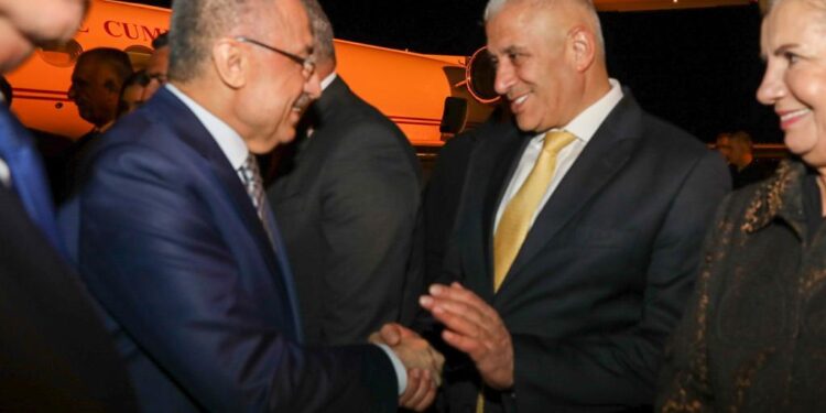 Taçoy: “Çıktığımız yoldan bizi döndürmeye kimsenin gücü yetmeyecek”