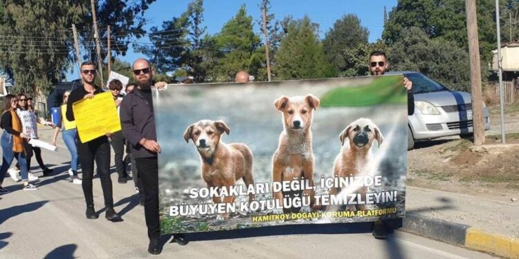 Cumhurbaşkanı Tatar: “Hayvan refahıyla ilgili, ceza yasasında yer alan maddeler caydırıcı olmalı”