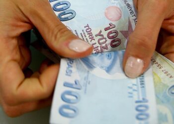 Türk Lirası’na hakaretin bedeli, 7,5 yıla kadar hapis istemi