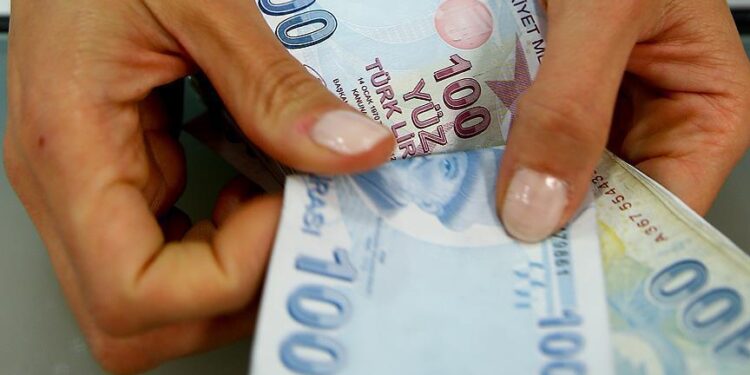Türk Lirası’na hakaretin bedeli, 7,5 yıla kadar hapis istemi