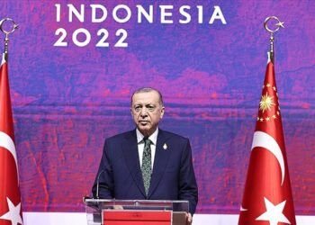 Erdoğan: “Türk Devletleri Teşkilatı’nda aldığımız karar geçerlidir”
