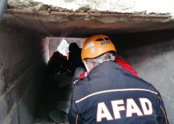 AFAD ve KKTC Sivil Savunma Teşkilatı Başkanlığı ortak arama kurtarma tatbikatı düzenleyecek