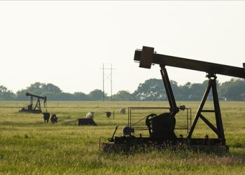 Brent petrolün varil fiyatı 82,06 dolar