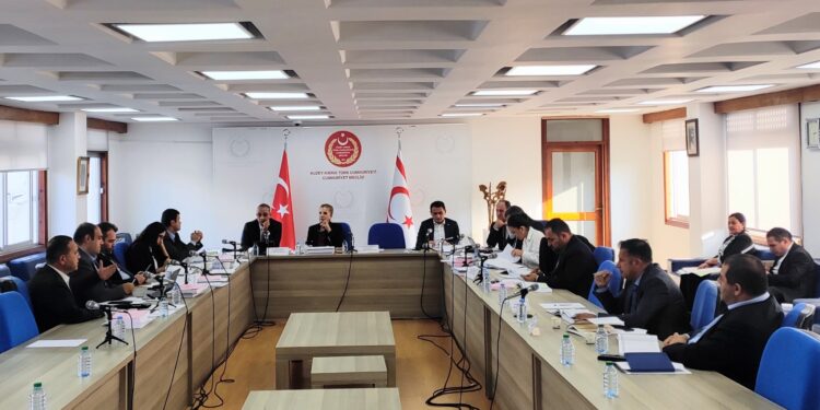 Tarım Bakanlığı bütçesi komitede onaylandı