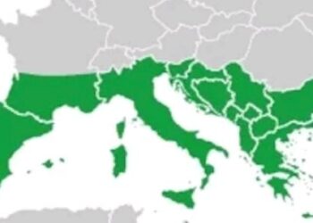 AvroAkdeniz Zirvesi’nin sonuç bildirisi yayımlandı