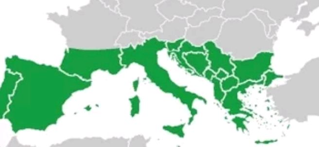 AvroAkdeniz Zirvesi’nin sonuç bildirisi yayımlandı