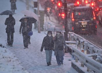 Yoğun kar yağışları nedeniyle 8 kişi hayatını kaybetti