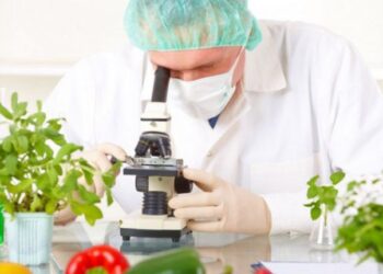 Tarım Dairesi haftalık gıda denetim sonuçlarını açıkladı