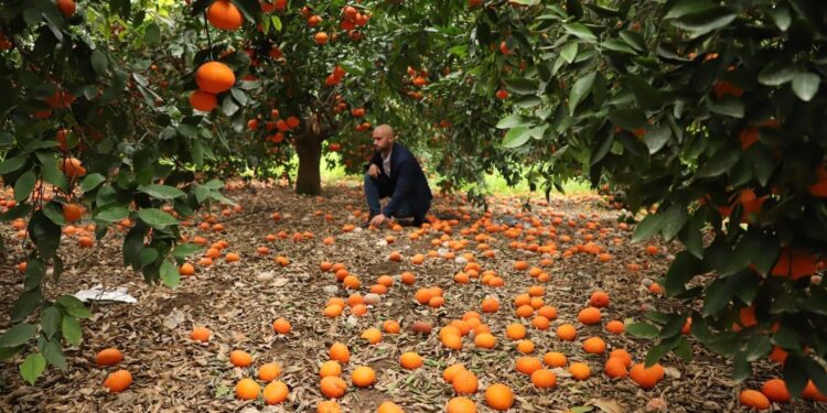 “ÖNLEM ALINMASI ŞART”