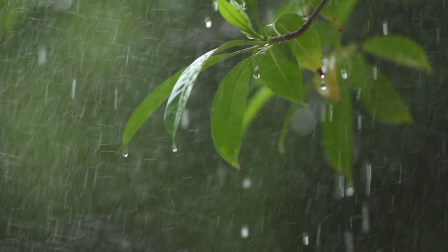 YAĞMURLU HAVA PAZAR GÜNÜNE KADAR DEVAM EDECEK