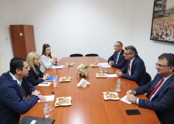 CTP’DEN DİSİ İLE GÖRÜŞMESİNE İLİŞKİN AÇIKLAMA