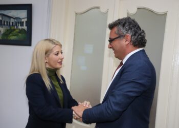 DİSİ BAŞKANI ANNİTA DİMİTRİYU AKINCI, TDP VE CTP LİDERLİKLERİYLE GÖRÜŞTÜ