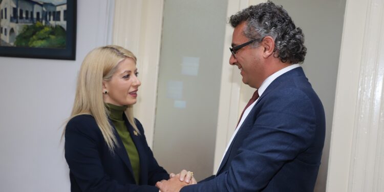 DİSİ BAŞKANI ANNİTA DİMİTRİYU AKINCI, TDP VE CTP LİDERLİKLERİYLE GÖRÜŞTÜ