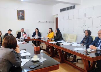 YÜKSEKÖĞRETİMİN DENETLENMESİ İÇİN KURULAN MECLİS KOMİTESİ TOPLANDI