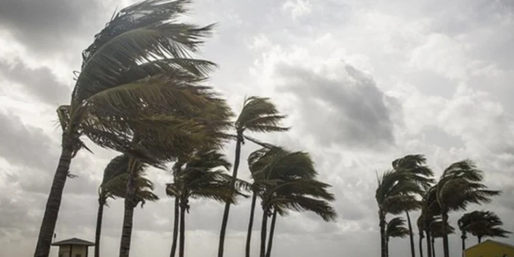 SALI VE ÇARŞAMBA KUVVETLİ RÜZGAR VAR