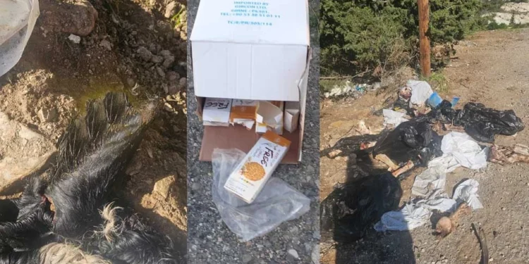 ÇEVREYİ KİRLETENLERE 27 BİN 587 TL CEZA