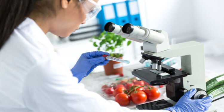 ISPANAK VE KEREVİZDE LİMİT ÜSTÜ KORUMA ÜRÜNÜ