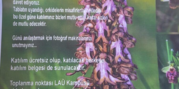 “12. ORKİDE VADİSİ GÖZLEM YÜRÜYÜŞÜ” PAZAR GÜNÜ YAPILIYOR