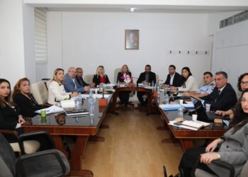 HUKUK, SİYASİ İŞLER VE DIŞİLİŞKİLER KOMİTESİ İKİ YASA TASARISINI GÖRÜŞTÜ