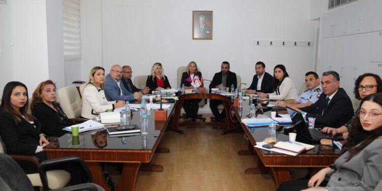 HUKUK, SİYASİ İŞLER VE DIŞİLİŞKİLER KOMİTESİ İKİ YASA TASARISINI GÖRÜŞTÜ