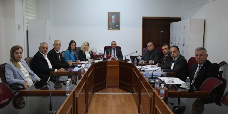 İSTATİSTİK KURUMU VERİLERİNİN GERÇEĞİ YANSITIP YANSITMADIĞI ARAŞTIRILACAK