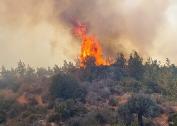 125 İŞÇİDEN OLUŞACAK “YANGIN HAZIR KUVVET EKİBİ” KURULUYOR