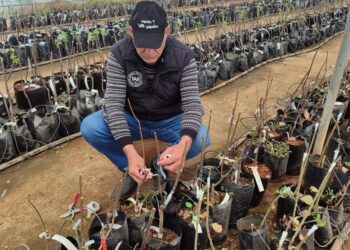 AŞILAMA TEKNİKLERİ KONUSUNDA UYGULAMALI EĞİTİM