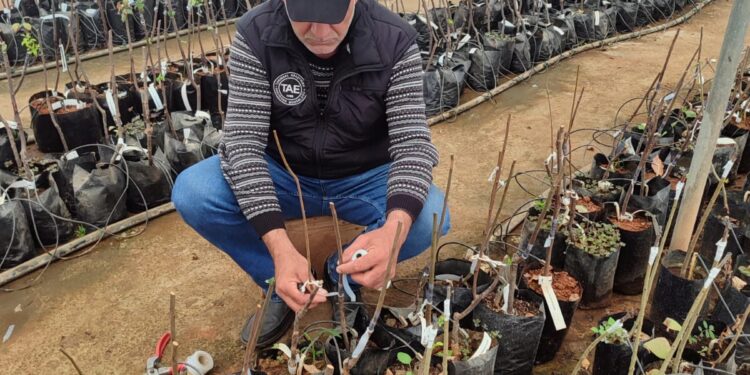 AŞILAMA TEKNİKLERİ KONUSUNDA UYGULAMALI EĞİTİM