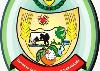 ANALİZLER SONUCUNDA 66 ZEYTİNYAĞI NUMUNESİNİN 19’U TAĞŞİŞLİ ÇIKTI