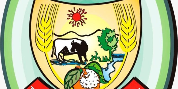 ANALİZLER SONUCUNDA 66 ZEYTİNYAĞI NUMUNESİNİN 19’U TAĞŞİŞLİ ÇIKTI