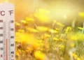 HAVA SICAKLIĞI 23-26 DERECE DOLAYINDA OLACAK