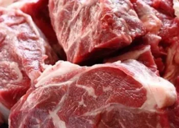 ET FİYATLARINI 10 AYRI EKİP DENETLEYECEK