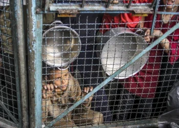 GAZZE’DE KITLIK ÇOCUKLARI ÖLDÜRÜYOR