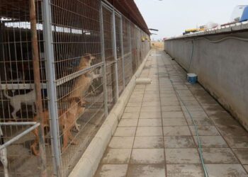 “MİNİK CANLARIMIZIN REFAHI İÇİN ÇALIŞIYORUZ”