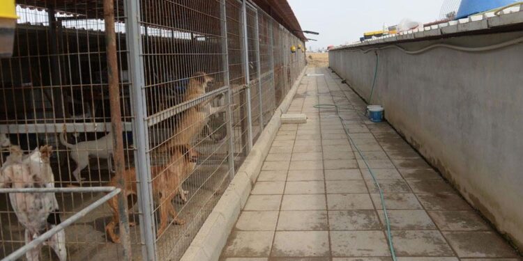 “MİNİK CANLARIMIZIN REFAHI İÇİN ÇALIŞIYORUZ”