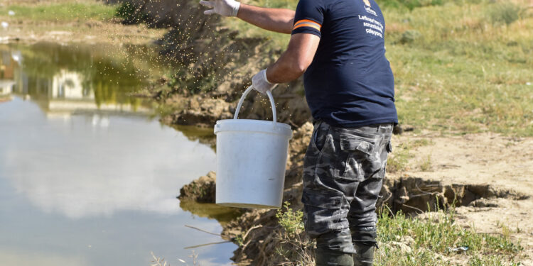 LTB, SİVRİSİNEKLERLE MÜCADELEDE WALS METODUNU UYGULAMAYA DEVAM EDİYOR