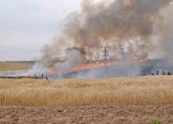 EKİNLERİ ATEŞE VERDİ TUTUKLANDI