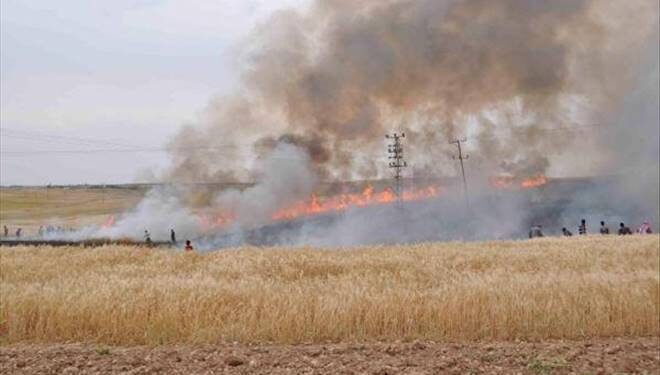 EKİNLERİ ATEŞE VERDİ TUTUKLANDI