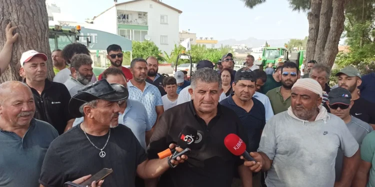 TUTUKLANAN EYLEMCİLER SERBEST KALDI