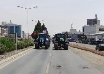 HAYVANCILAR SOKAĞA İNDİ