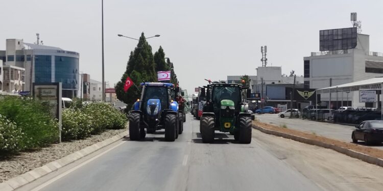 HAYVANCILAR SOKAĞA İNDİ