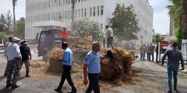 HAYVANCILARIN EYLEMİ DEVAM EDİYOR, YAKILACAK BALYALAR BAŞBAKANLIK ÖNÜNDE