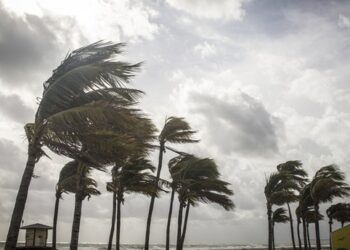 YARIN İÇİN KARADA VE DENİZDE “FIRTINAMSI RÜZGAR” UYARISI